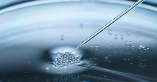 12262-023_Cell-and-gene-therapy-webinar_Insights-Articles-1 12262-023_Cell-and-gene-therapy-webinar_Insights-Articles-1