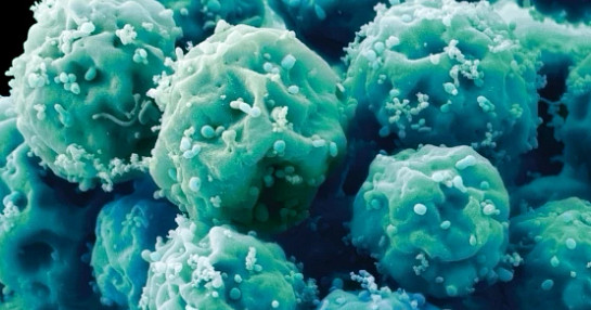 12262-023_Cell-and-gene-therapy-webinar_Insights-Articles-2 12262-023_Cell-and-gene-therapy-webinar_Insights-Articles-2