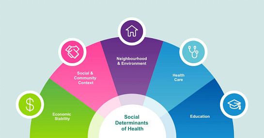 14202 - 011 Blog - SDoH_1440x750 – 2