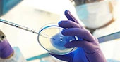 8001-Covid-19-Diagnostics-Web-170x170 8001-Covid-19-Diagnostics-Web-170x170