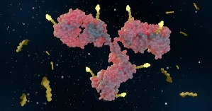 Applied Clinical Trials article-thumbnail-antibody- MDD Applied Clinical Trials article-thumbnail-antibody- MDD