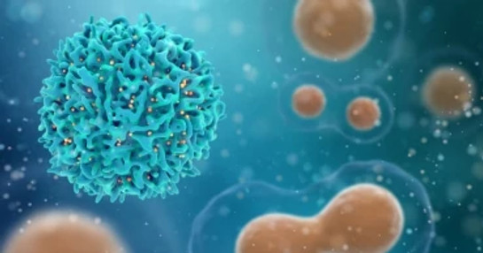 Autologous-cellular-therapy-oncology Autologous-cellular-therapy-oncology