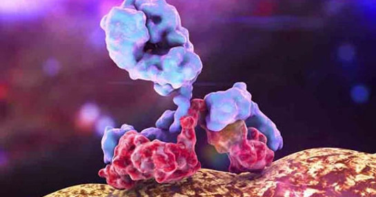 biosimilar molecule biosimilar molecule