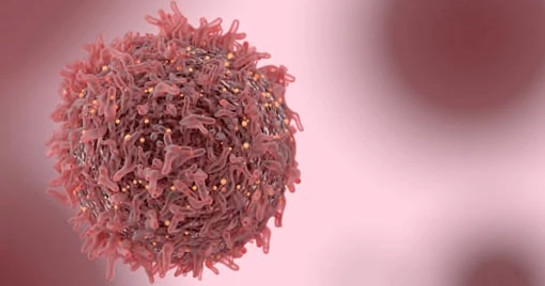 Cancer-cell Cancer-cell