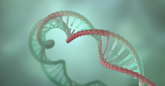 CancerCells_DNA_print version