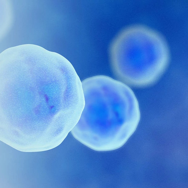 Cell-and-Gene-Therapies-WB