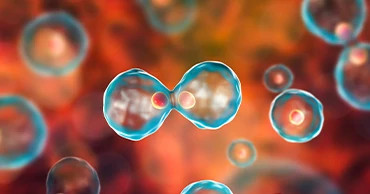 cell-gene-therapy-image