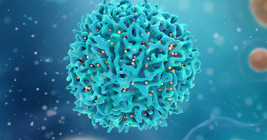 Clinical_Oncologist_Blogs_thumbnail3