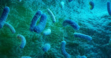 Fortifying-Vaccines_-Preparation-and-prevention-against-future-infectious-disease-epidemics Fortifying-Vaccines_-Preparation-and-prevention-against-future-infectious-disease-epidemics