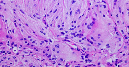 Histopathology-Subpage-Banner-(1)