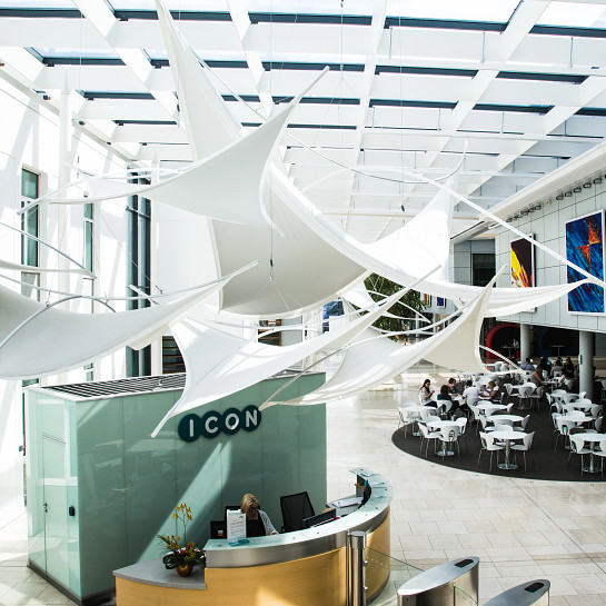 ICON_Dublin-Reception