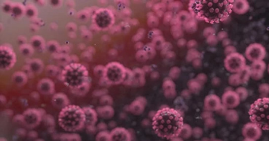 Infectious-diseases-cells