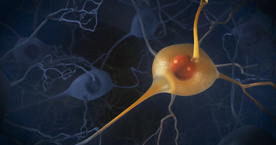Neuron Neuron