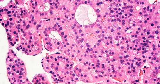 Oncacare images (12)