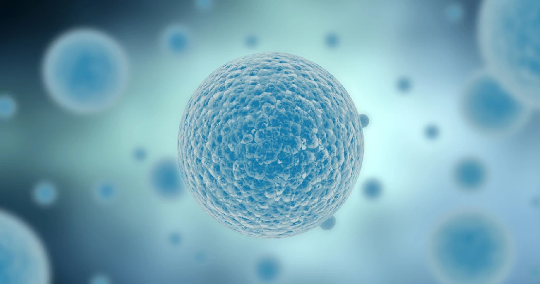 oncology oncology