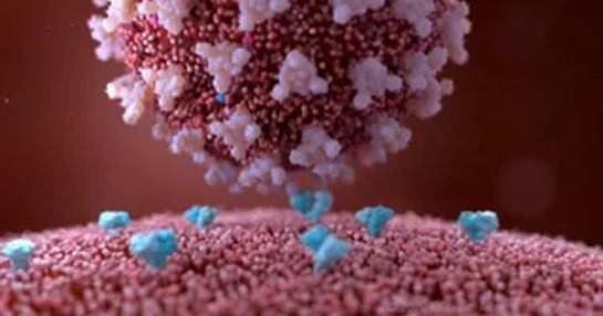 overview-of-COVID-19