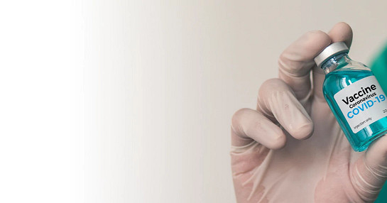 pfizer-biontech-banner pfizer-biontech-banner