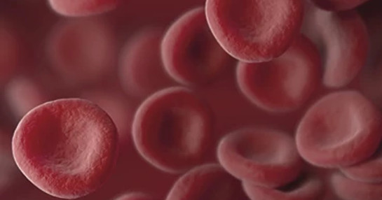 red-blood-cells