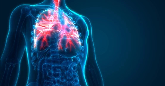 respiratory-disease respiratory-disease