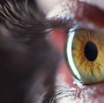 Retinal Disorder_thumbnail 370 x 194.jpg