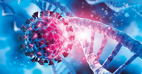 specialty labs-thumbnail specialty labs-thumbnail