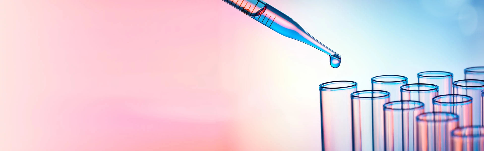 Specialty-Labs-Web-Banner_2 Specialty-Labs-Web-Banner_2