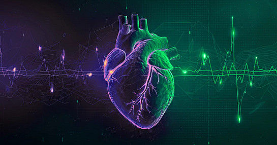 Cardiovascular monitoring thumbnail Cardiovascular monitoring thumbnail