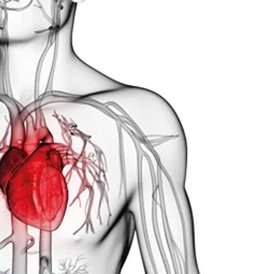 uuid_a7694365-5038-4774-bd41-87abe3b1dfdc_Cardiovascular