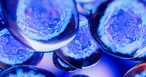 BioSpectrum Asia Article-car-t-oncology-cgt-MDD BioSpectrum Asia Article-car-t-oncology-cgt-MDD
