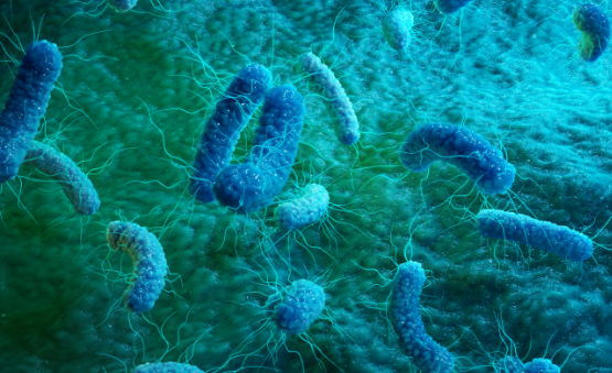 fortifying-vaccines-against-future-infectious-home-page-banner fortifying-vaccines-against-future-infectious-home-page-banner