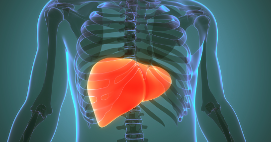 Obesity and metabolic-dysfunction associated steatotic liver disease.