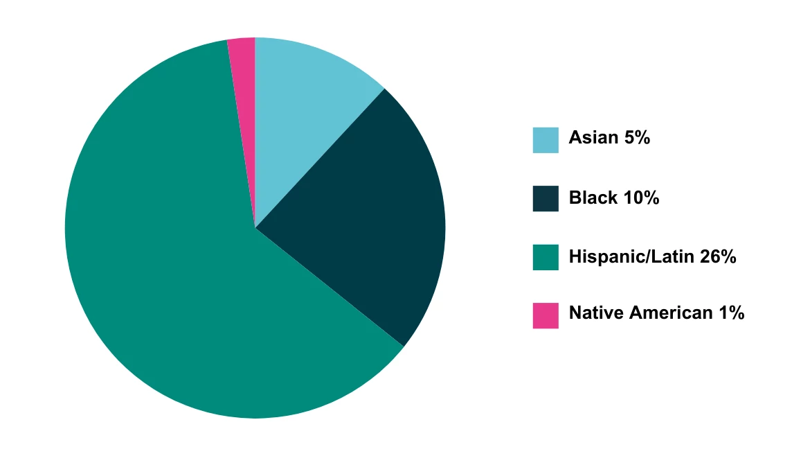 pie chart with the diversity in the study